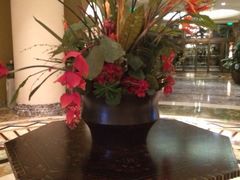 iphone_upload_pic-月亮河温泉度假酒店