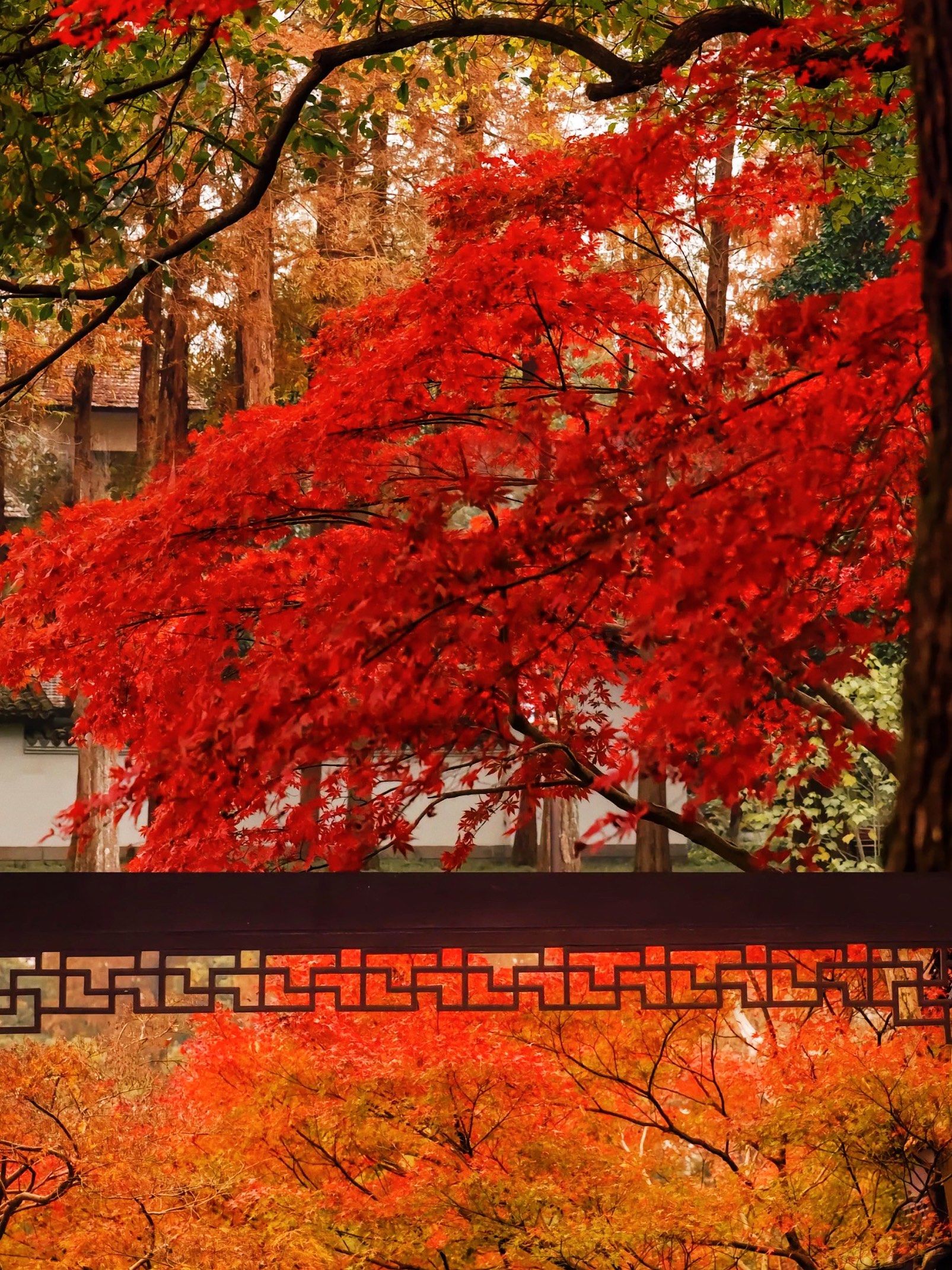 如果你来杭州!请直奔这个地方!