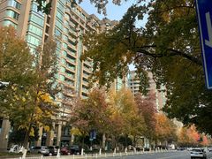 -山·烤辣鸡韩国料理(西溪路店)