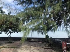 -西涌国际滨海旅游区