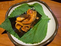 -红辣椒八爪鱼特色韩国料理
