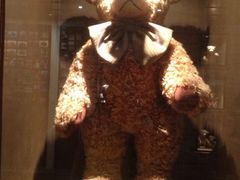 -济州岛泰迪熊博物馆