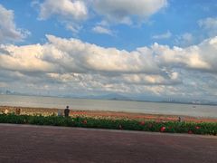 -深圳湾公园(南山区)