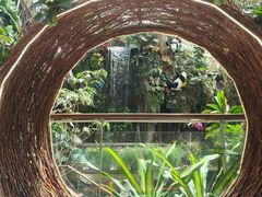 -正佳雨林生态植物园