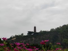 -南沙蒲洲花园