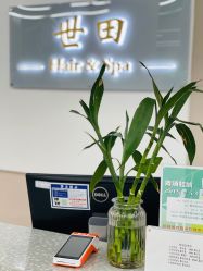 -世田造型