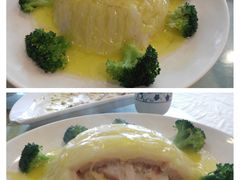 -丁老爷子苏香圆