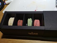 -梧桐