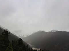 -黄龙山原始森林景区