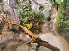 -上海大自然野生昆虫馆(东方明珠·爬宠昆虫探索中心)