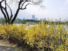 -黄兴公园
