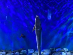 -泉城欧乐堡海洋极地世界