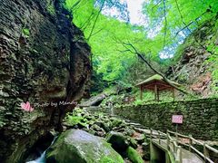 -五女峰国家森林公园