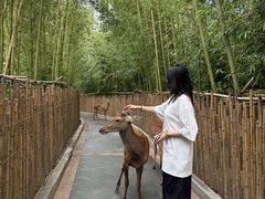 -唐山河头老街国丰维景度假大酒店