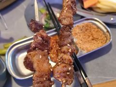 -杨小佳·齐齐哈尔烤肉·烤串(广州店)
