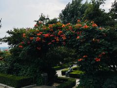 -烟台山景区