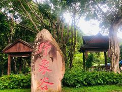 -野象谷景区