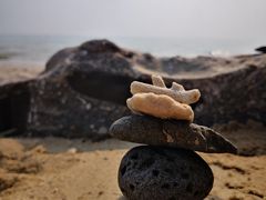 -贝壳沙滩