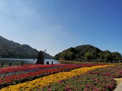 -广州市石门国家森林公园