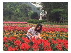 -广州市石门国家森林公园