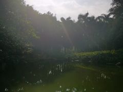 -云溪植物园