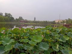 -西海子公园