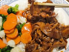 -吉野家(长青店)