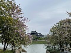 -海珠湖公园
