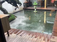 -觀芷隐轩