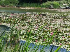 -国家植物园南园