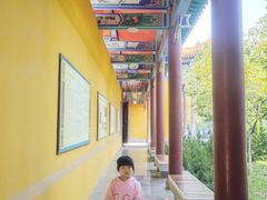 -正觉寺