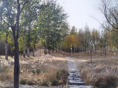 -马家湾湿地公园