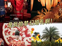 -圣爵菲斯大酒店(长沙世界之窗店)