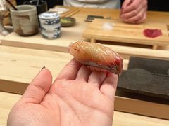 -焘