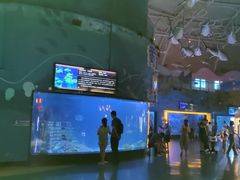 -烟台海昌鲸鲨海洋公园