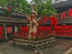 -中山詹园