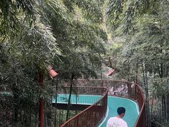 -莫干山风景区