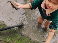 -洪湖家庭农场·团建·露营·会议