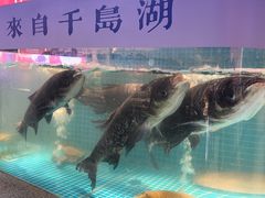 -鸽子侯·家宴·平价海鲜(市图书馆店)