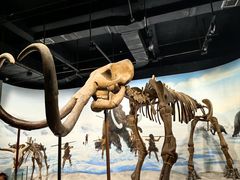 -辽宁古生物博物馆