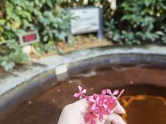 -林丰温泉度假山庄