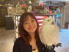 -北京环球影城主题公园-停车楼