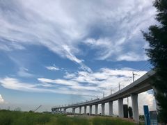 -宝安西湾红树林湿地公园