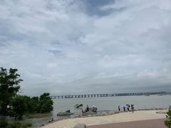 -宝安西湾红树林湿地公园