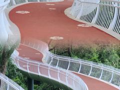 -金鸡山公园