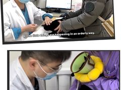 -瑞派宠物医院·内科·软组织·绝育中心(沈阳八纬路分院)