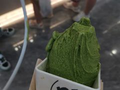 -野人先生现做冰淇淋(西安赛格店)