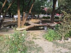 -枫花园汽车电影院(朝阳公园店)