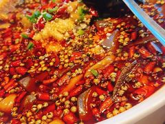 -潇湘甲鱼村(清河店)
