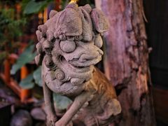 -鱼桥巷·美学川菜